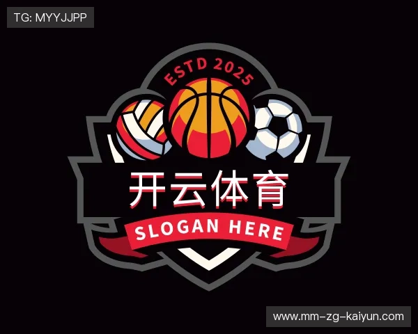 介绍开云体育平台